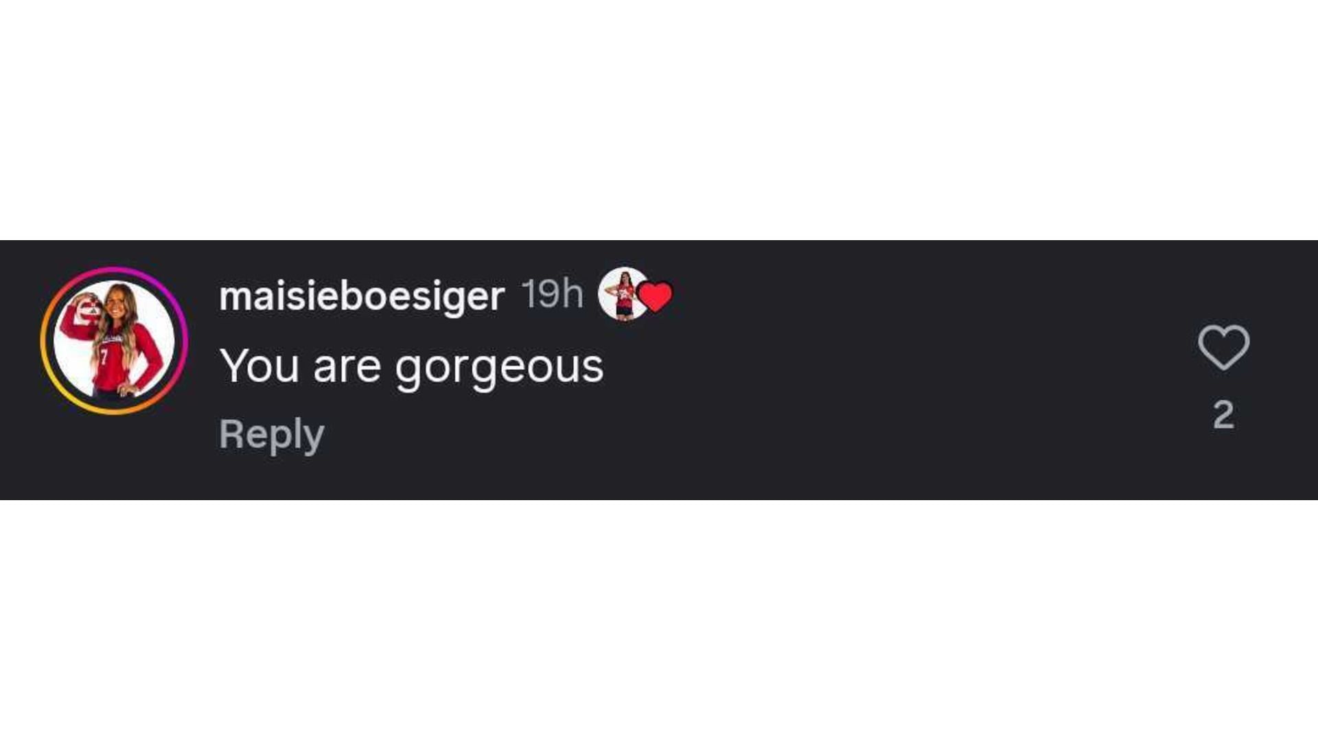 Boesiger&#039;s comment (Image via: @adidasvolleyball on IG)