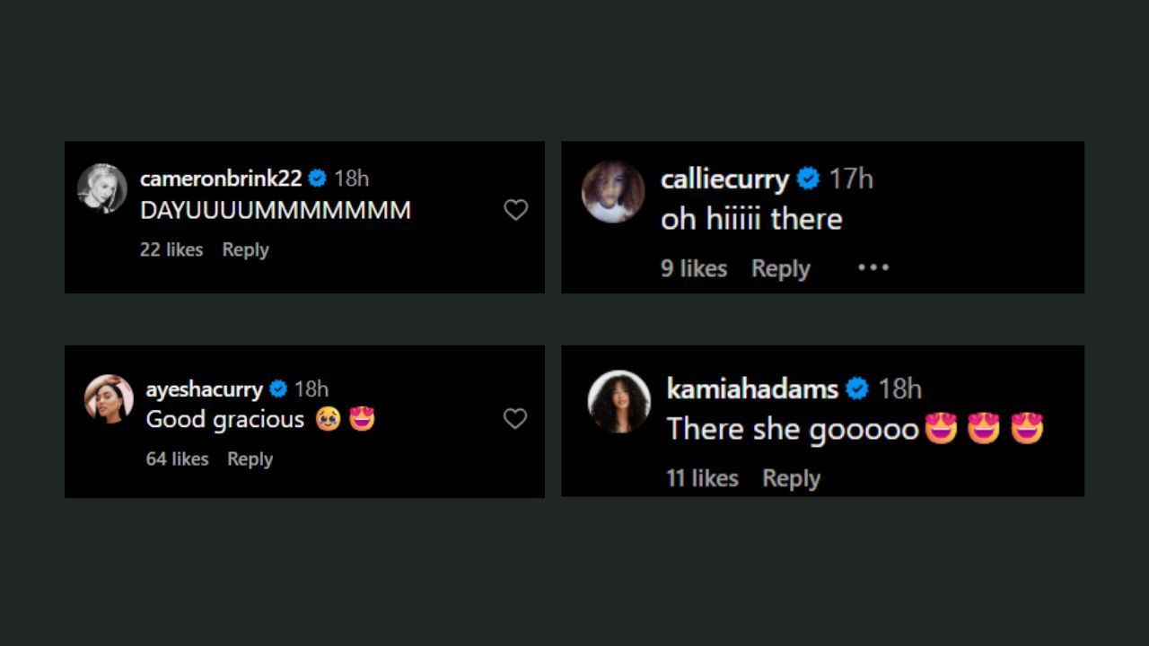 Ayesha Curry, Cameron Brink, and more comment on Sydel Curry&#039;s IG post. (Credits: @sydelcurrylee/IG)