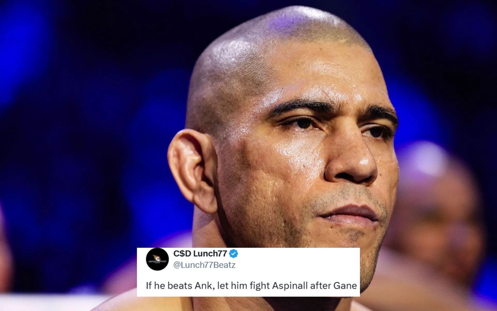 Fans react to Alex Pereira