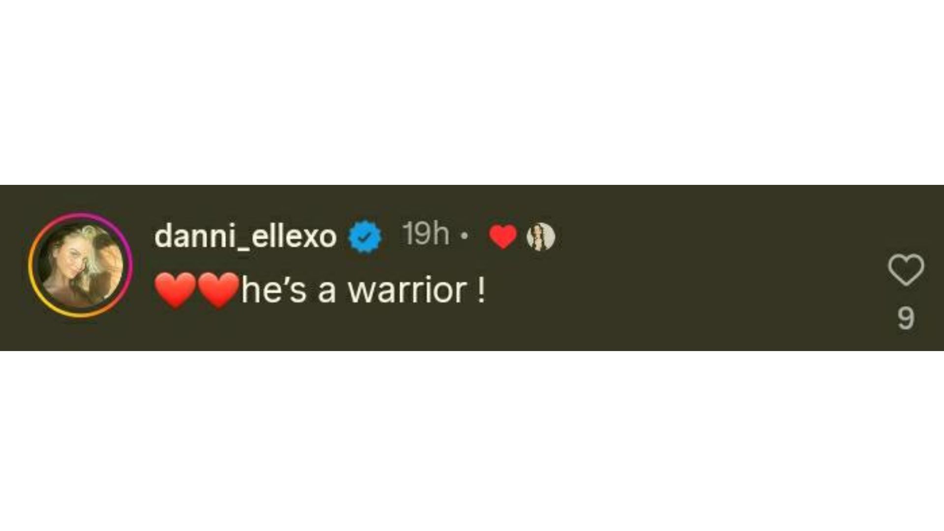 Screenshot of Harley Cameron&#039;s comment [Source: @Saraya on Instagram]