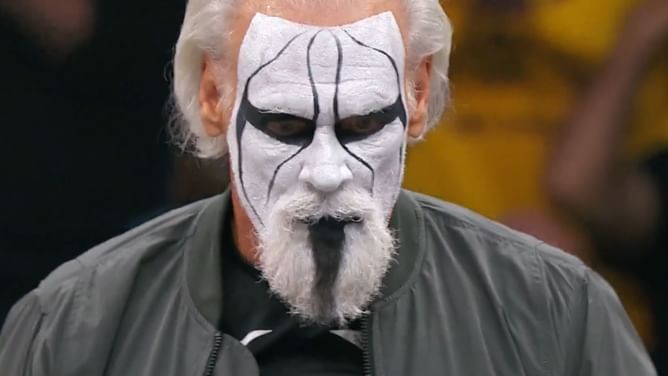 Female AEW star sends explicit message to Sting after his return at WrestleDream 2025