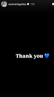 Goltes' Instagram story