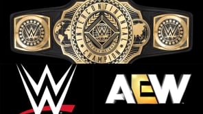 Former Intercontinental Champion publicly expresses desire to get hired by WWE or AEW
