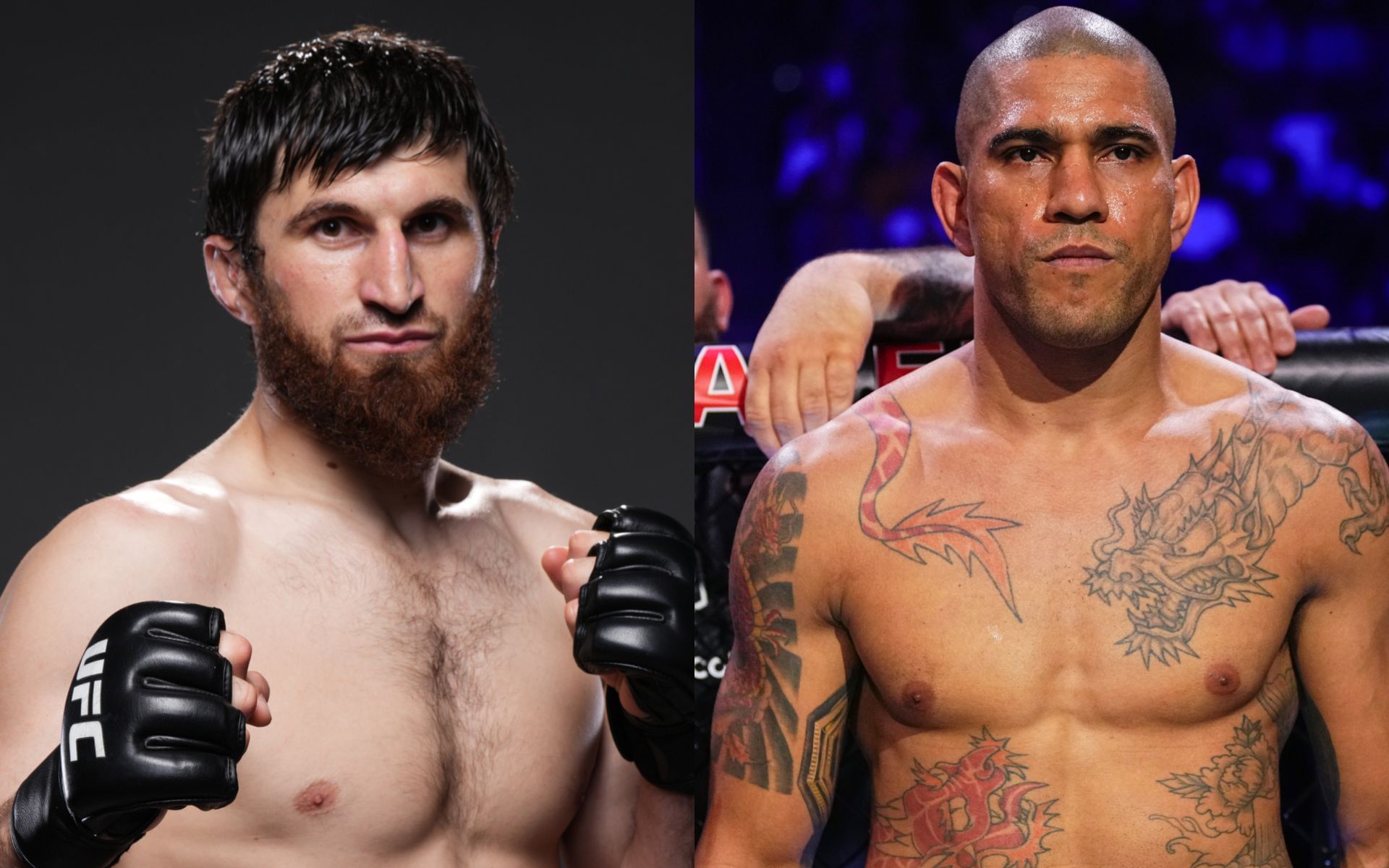 Alex Pereira (right) reacts to Magomed Ankalaev