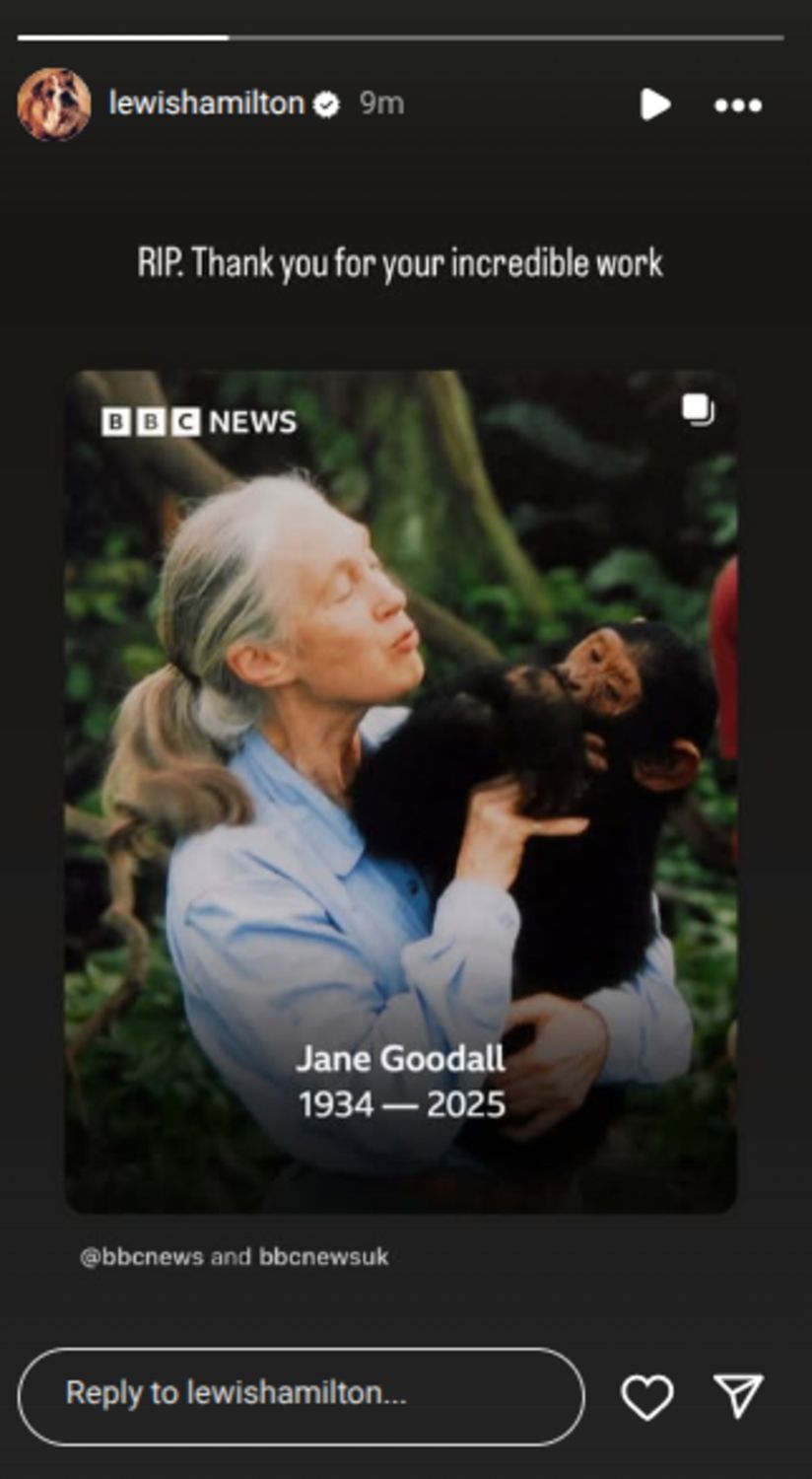 Lewis Hamilton&#039;s story for Jane Goodall l (Via: Instagram/@lewishamilton)