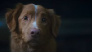 Where was Good Boy (2025) filmed? Complete guide to all filming locations and other production details