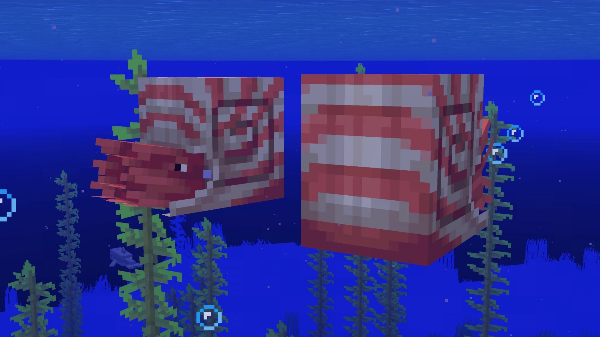 Nautiluses can spawn in groups of 2-3 (Image via Sportskeeda Gaming || Mojang Studios)