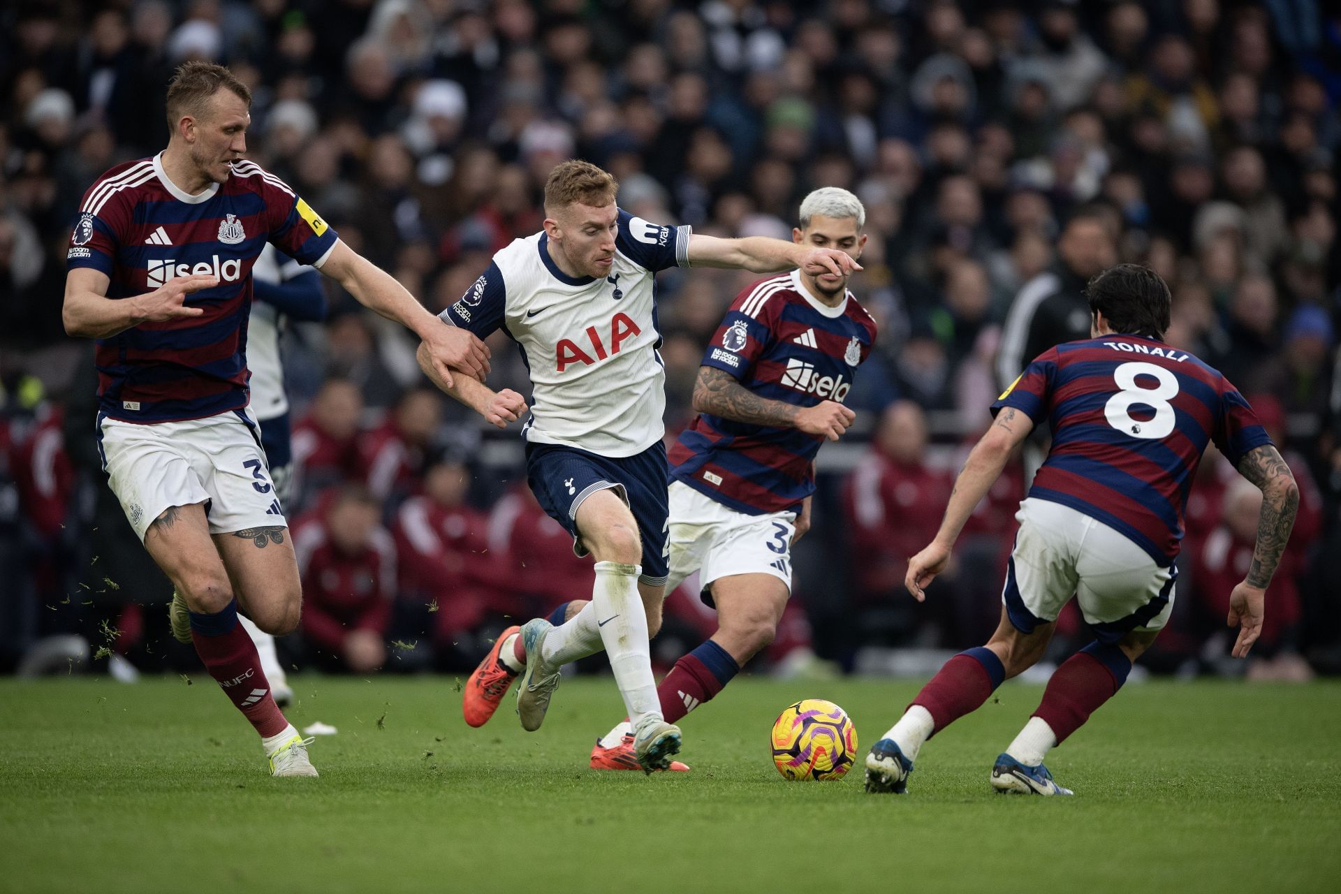 Tottenham Hotspur FC v Newcastle United FC - Premier League - Source: Getty