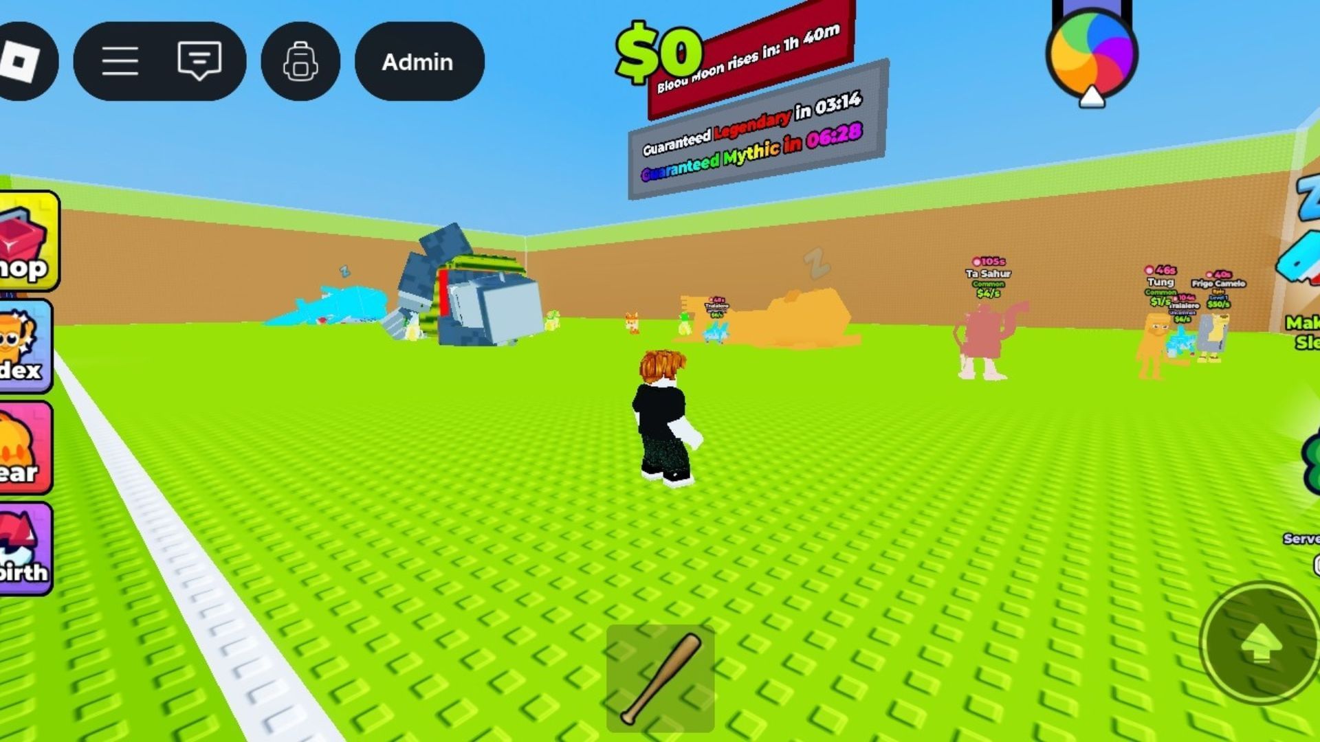 Enter the field after scouting in Don&rsquo;t Wake the Brainrots (Image via Roblox)