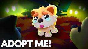 Adopt Me: Sleep and Treat event new pets guide