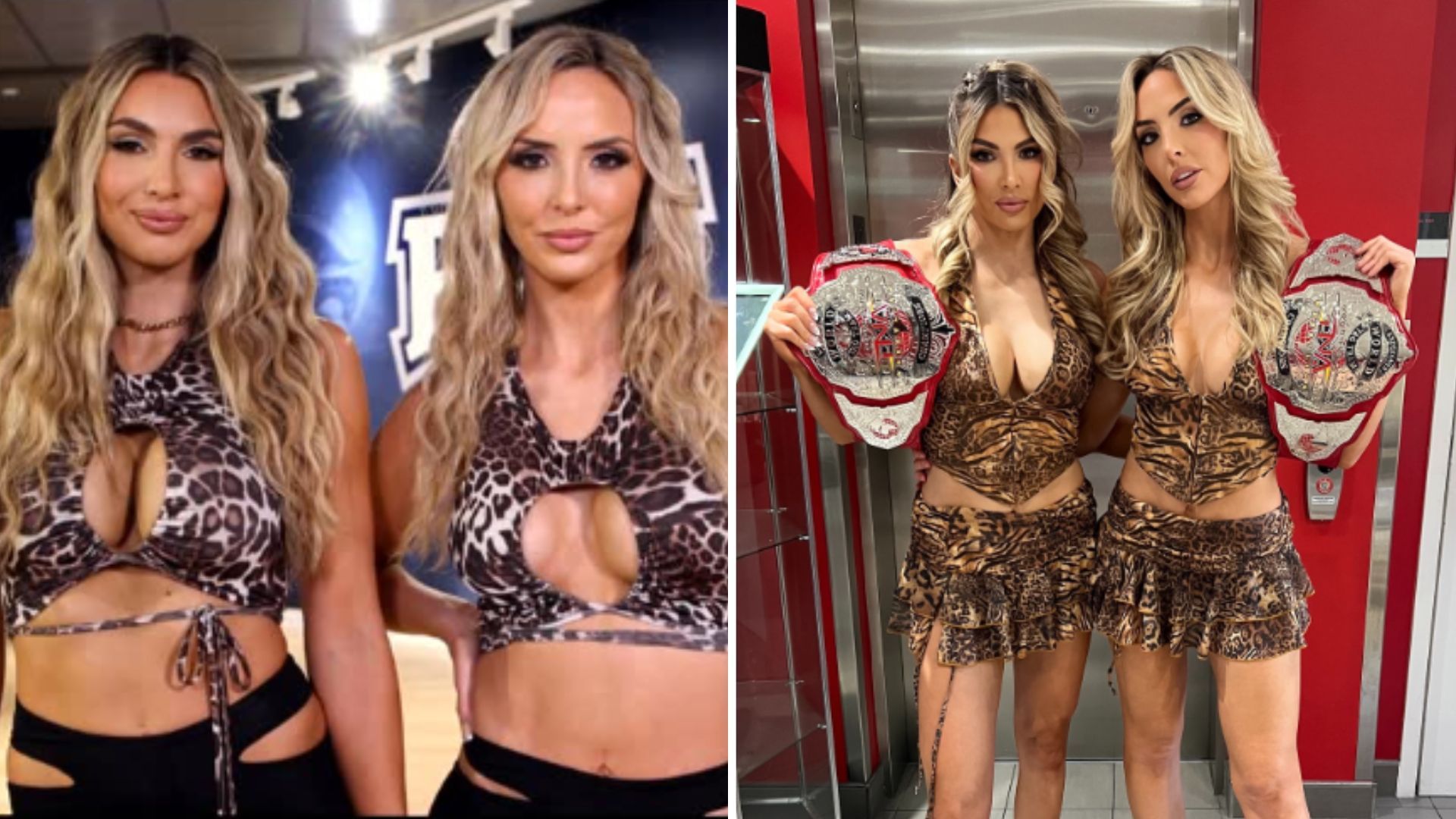 Jessica McKay and Cassie Lee are former WWE champions [Image credits: stars