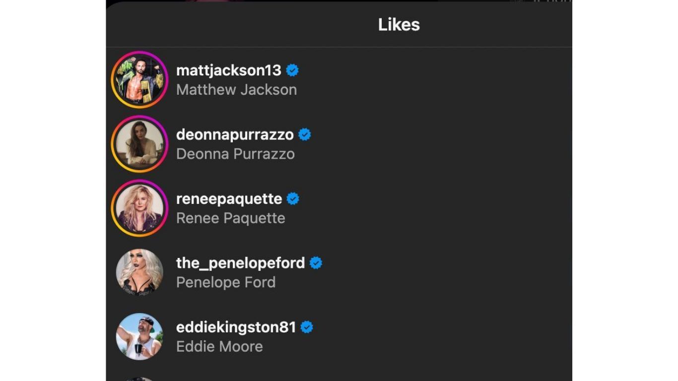 Stars who gave the post a like [Screengrab via Instagram]