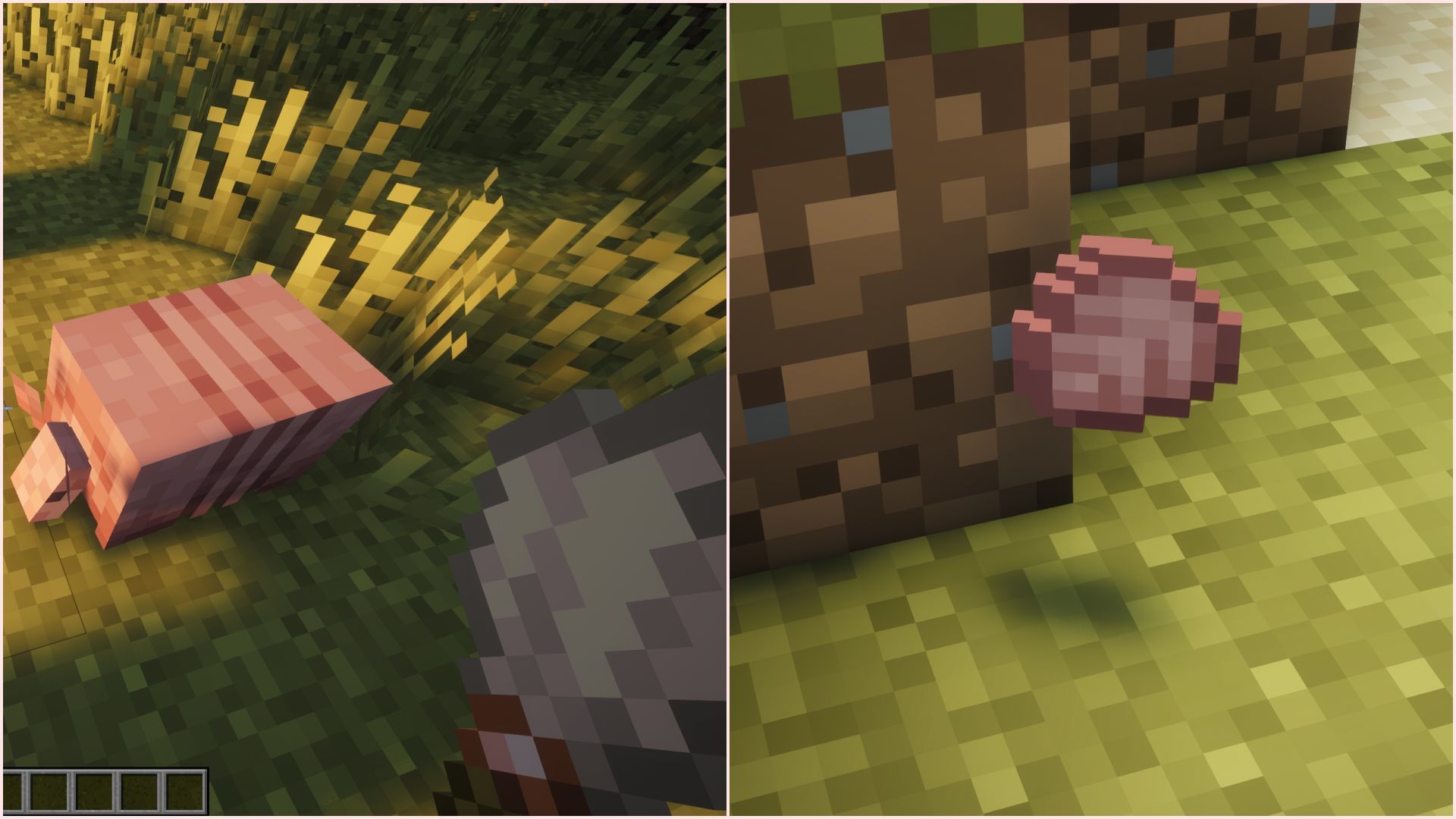 You will not be able to brush scutes out of an armadillo&#039;s shell with this mod (Image via Sportskeeda Gaming || Mojang Studios)