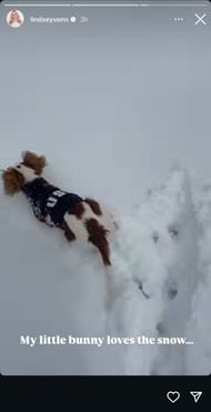 Still taken from Vonn's Instagram (Source: @lindseyvonn/Instagram)