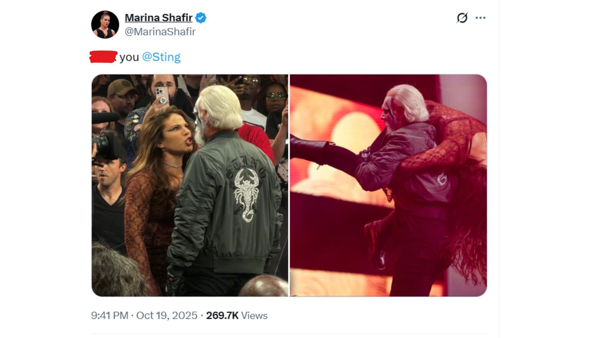 Marina Shafir&#039;s message for Sting [Source : Shafir&#039;s X profile]
