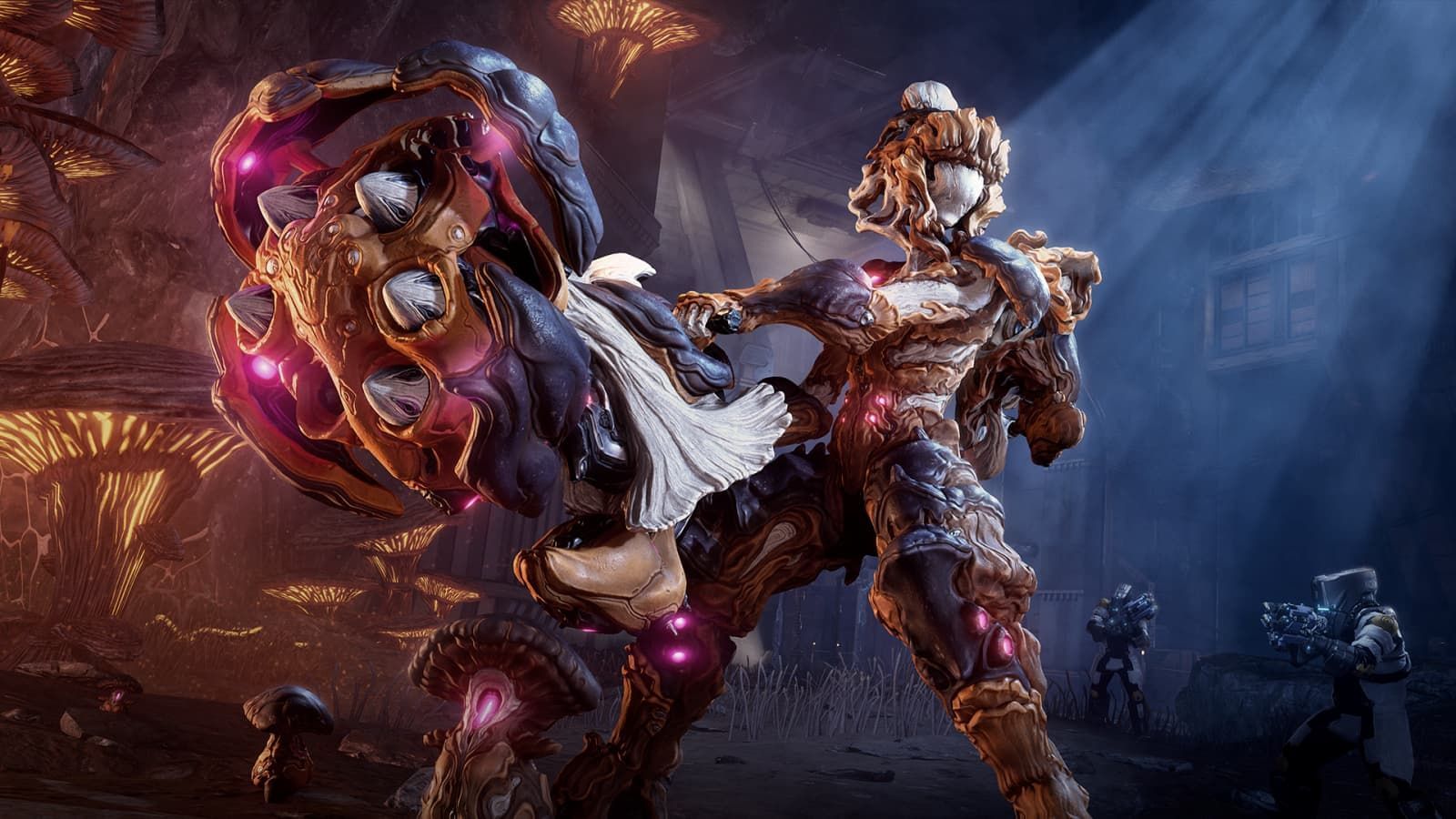 warframe arbucep build guide