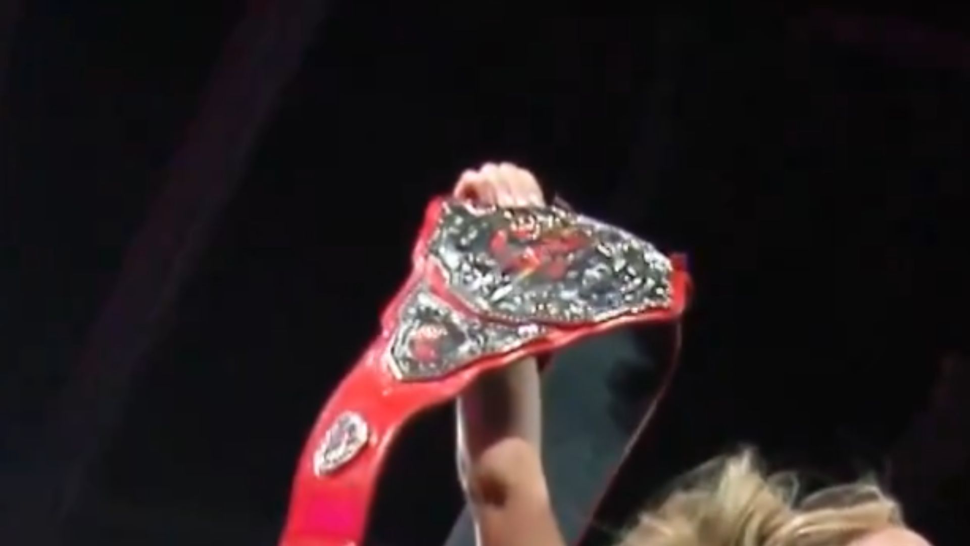 They won the titles (Credit: TNA on X)