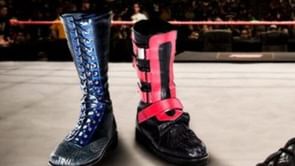 Beloved Female ex-WWE Star Confirms She Has Retired; Had Cancer And Says She Wants A "Better Ending"