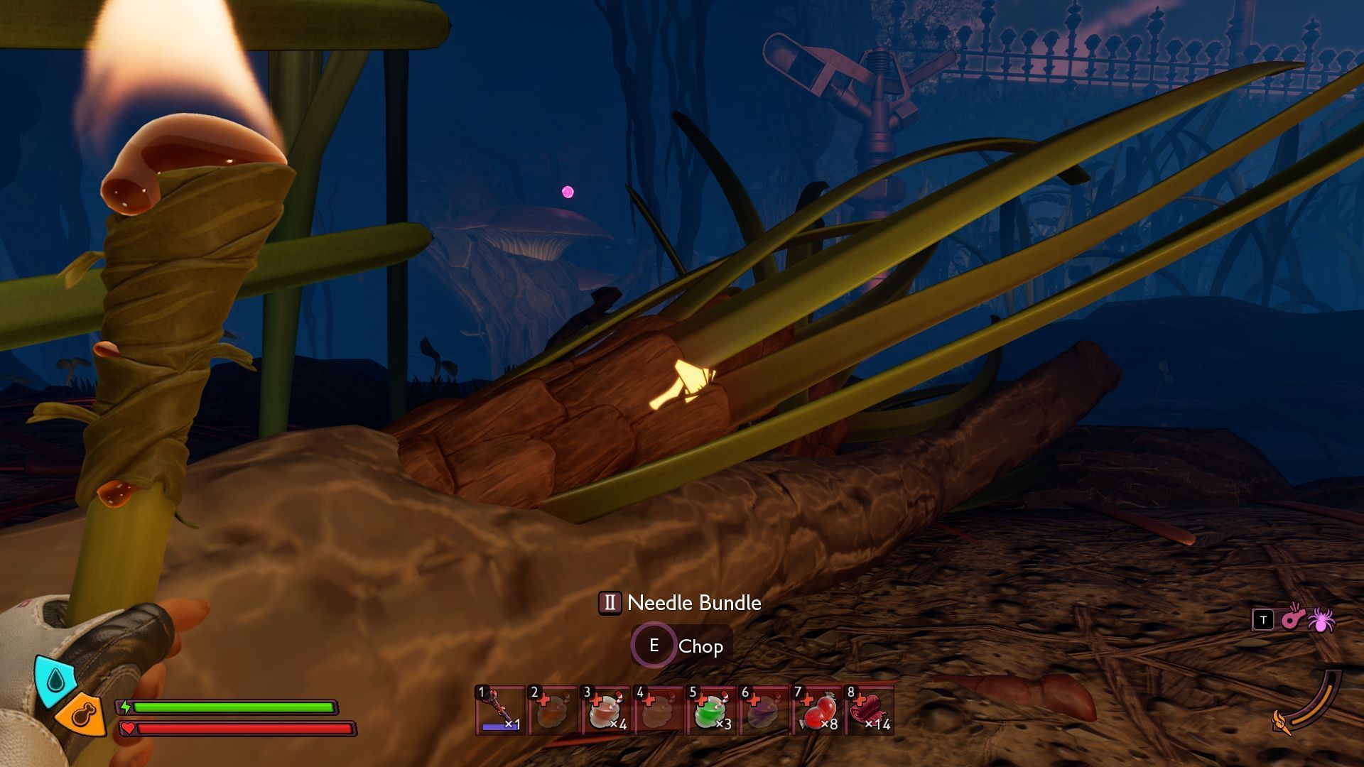 Find the Needle Bungle near the Pine Tree region (Image via Xbox Game Studios)