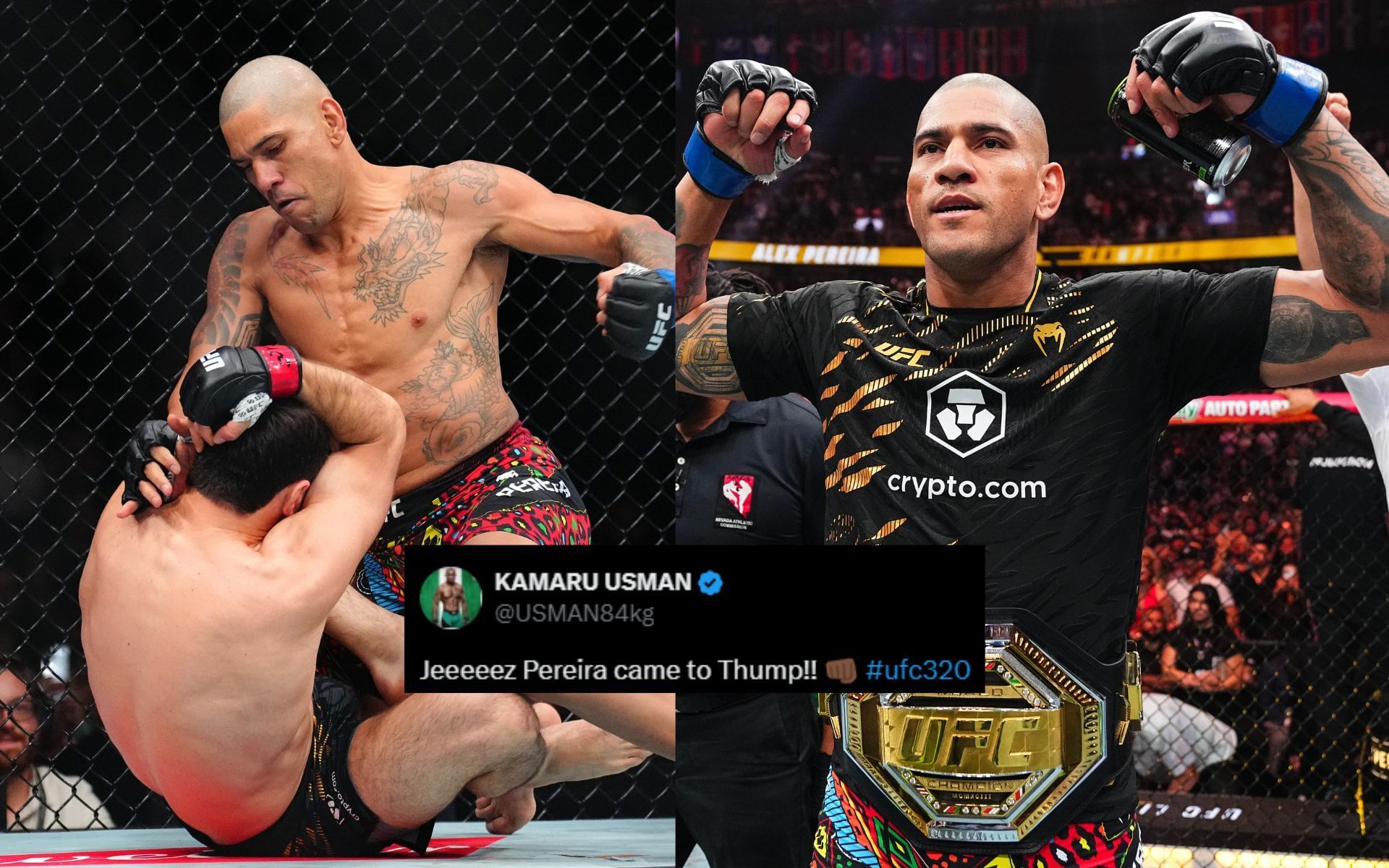 Fighters react to Alex Pereira
