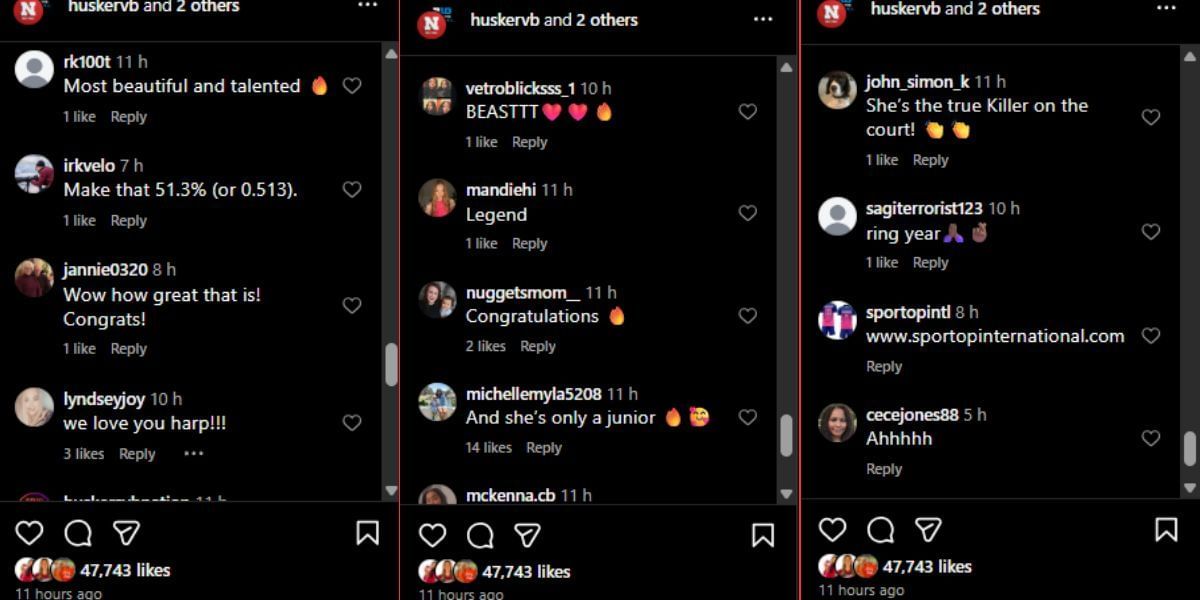 Screenshot of the Instagram post&#039;s comment section.