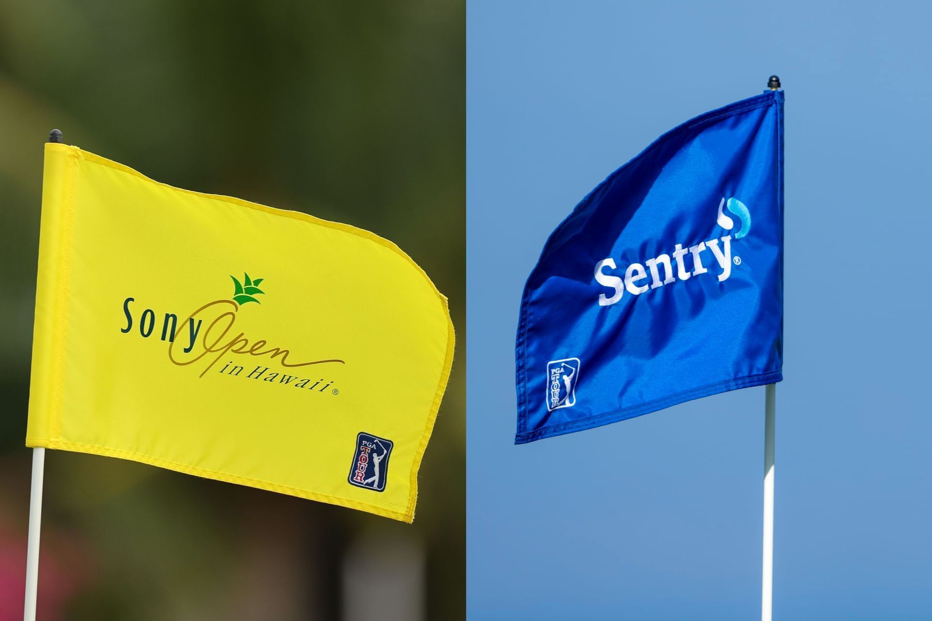 Sony Open flag and The Sentry flag [Image via Getty &amp; Imagn]