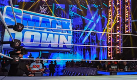 WWE Superstar is officially retired