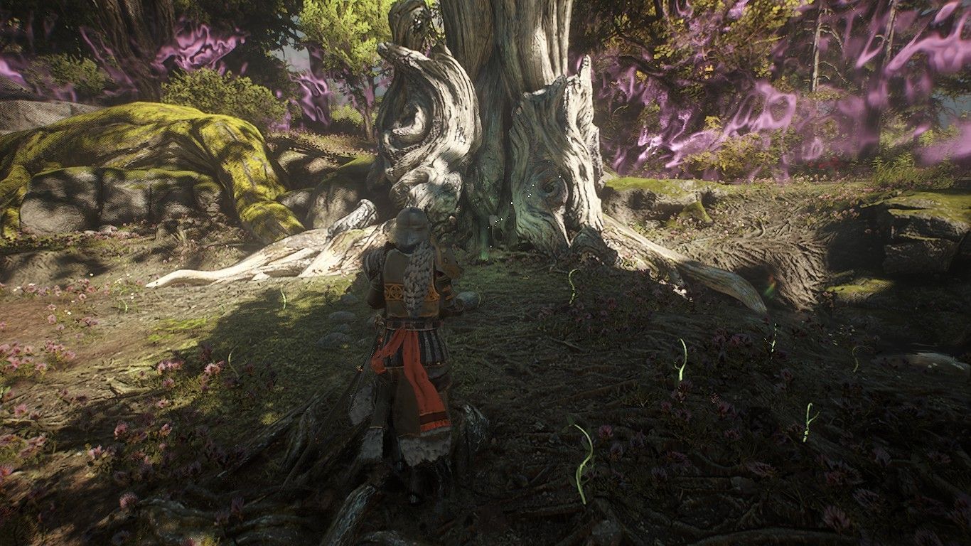 Plant the seed in this spot (Image via Digital Extremes)