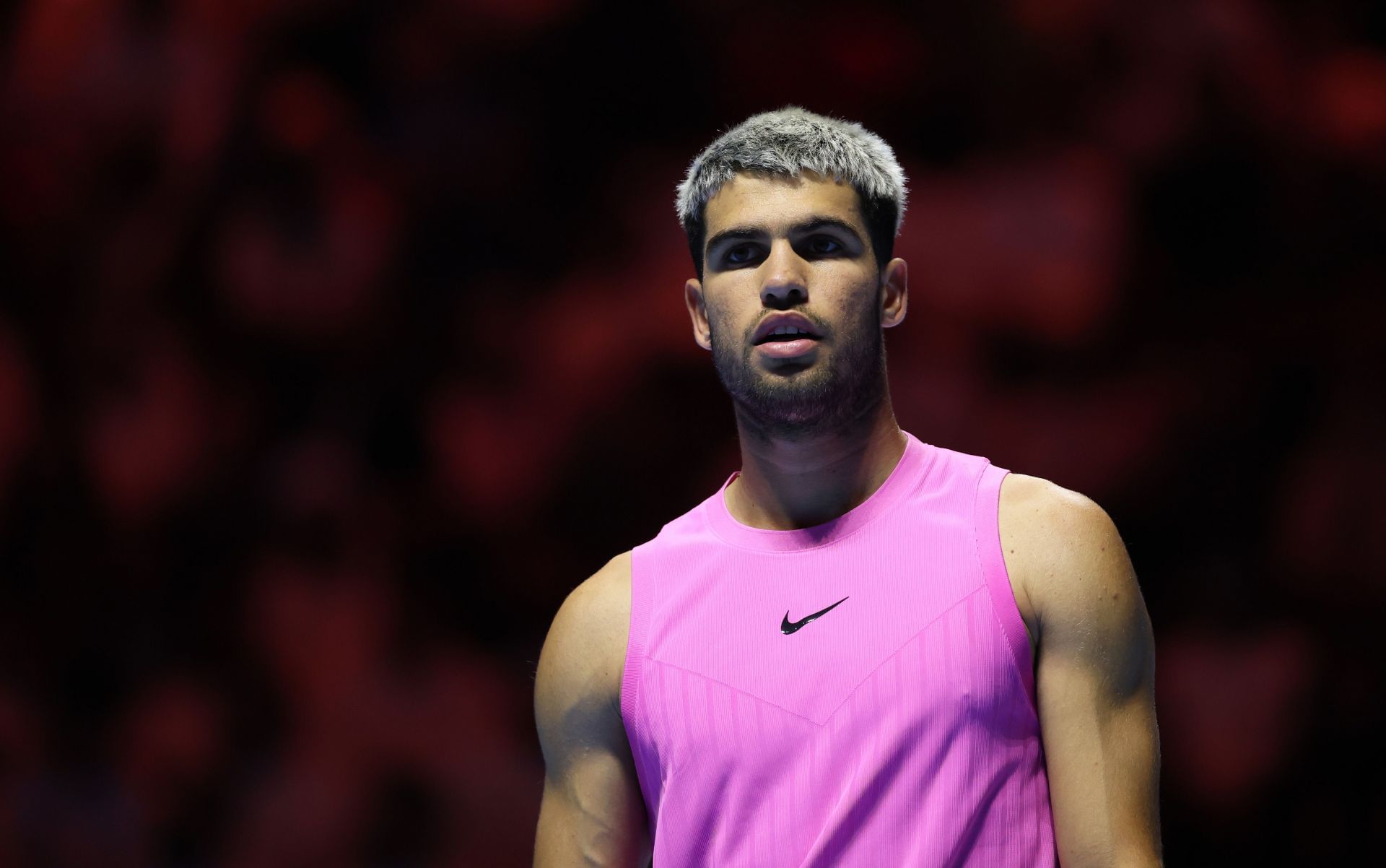 Alcaraz in action (Getty)