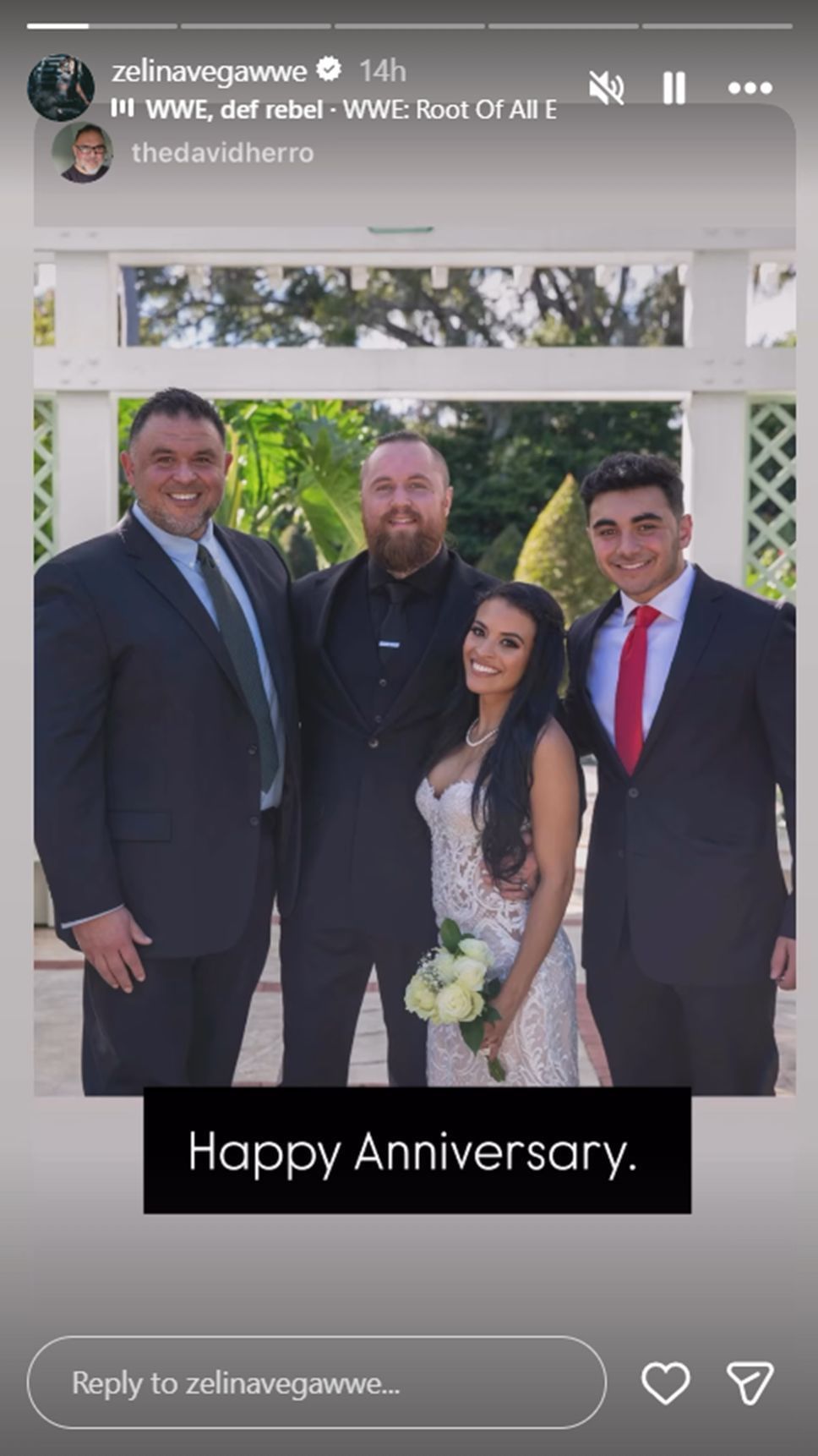 Zelina Vega has sent a message [Screenshot via @zelinavegawwe on Instagram]