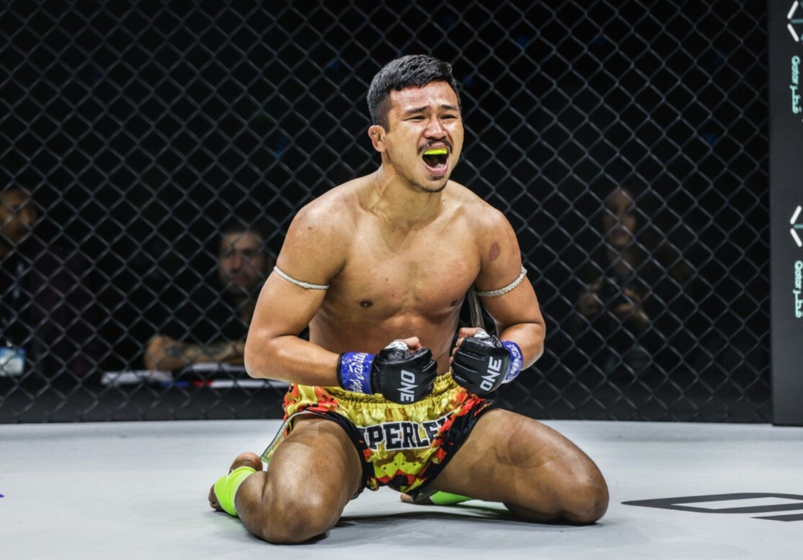 ONE flyweight kickboxing world champion Superlek -- Photo by ONE Championship