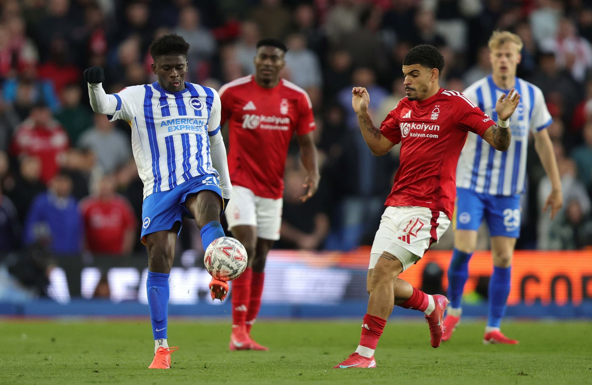 Brighton &amp; Hove Albion v Nottingham Forest - Emirates FA Cup Quarter Final - Source: Getty