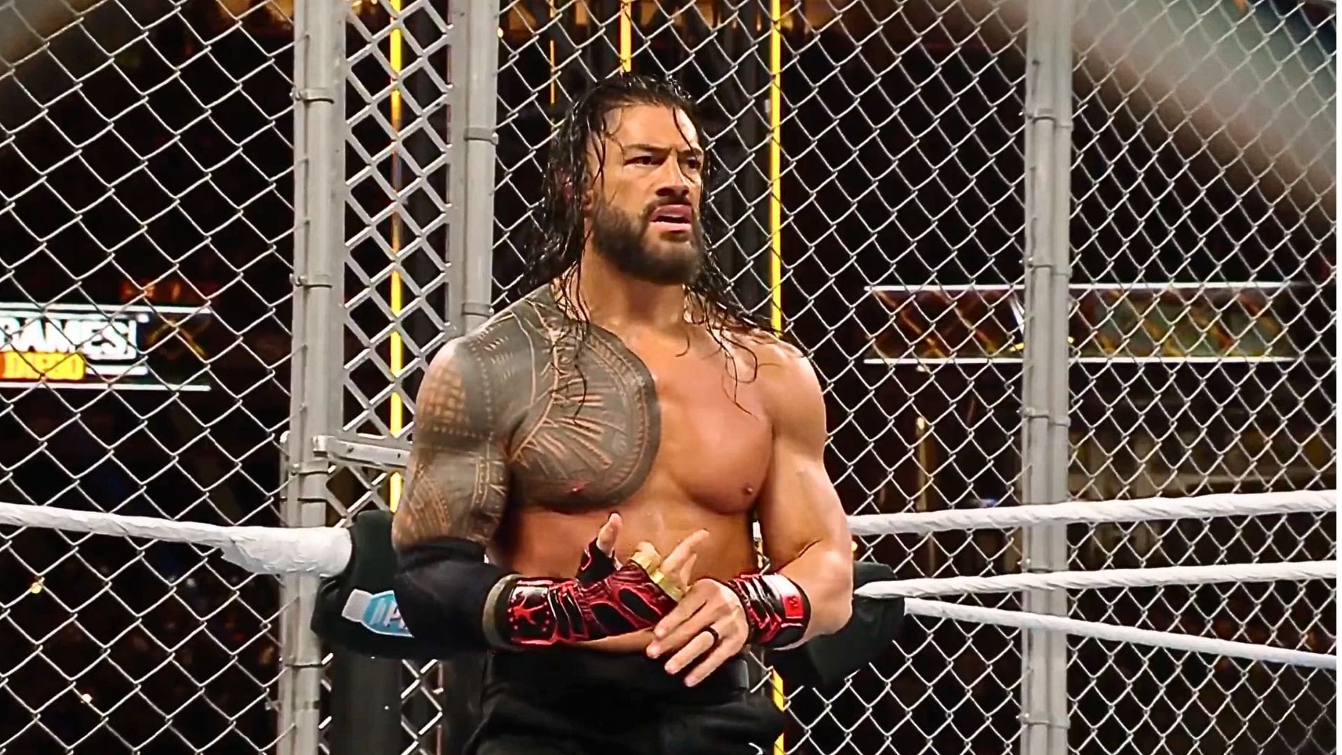 Roman Reigns in action at Survivor Series: WarGames [Image: WWE on X]