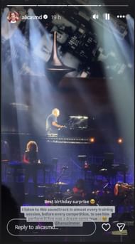 Screenshot of Schmidt's Instagram story.