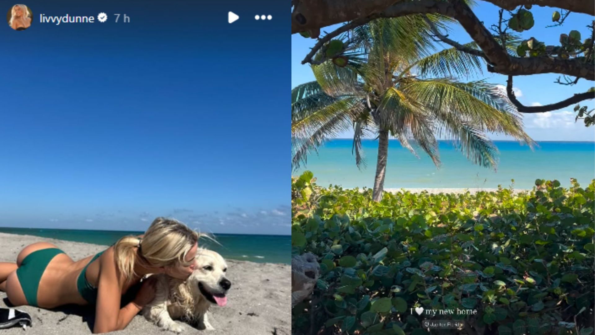 Screengrab of Olivia Dunne&#039;s Instagram stories [Image Source : Olivia Dunne&#039;s Instagram]