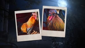 Who is Scrappy the rooster? ARC Raiders lore explained