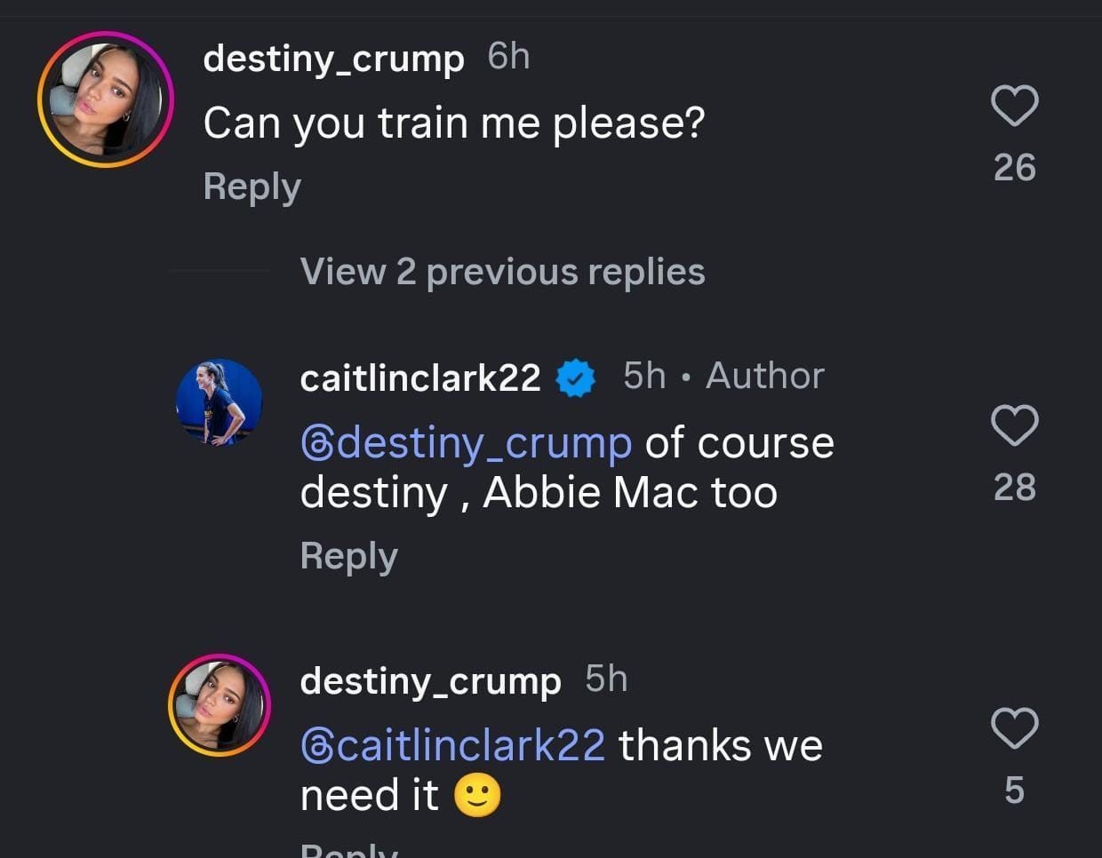 Clark&rsquo;s response to a fan - Image via Instagram/@caitlinclark23