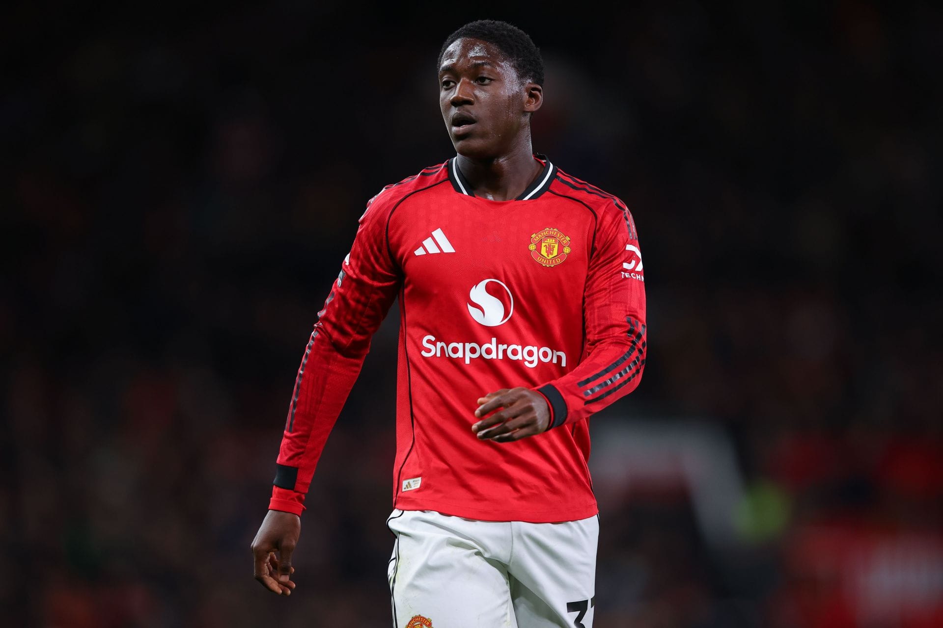 Manchester United v Brighton &amp; Hove Albion - Premier League - Source: Getty