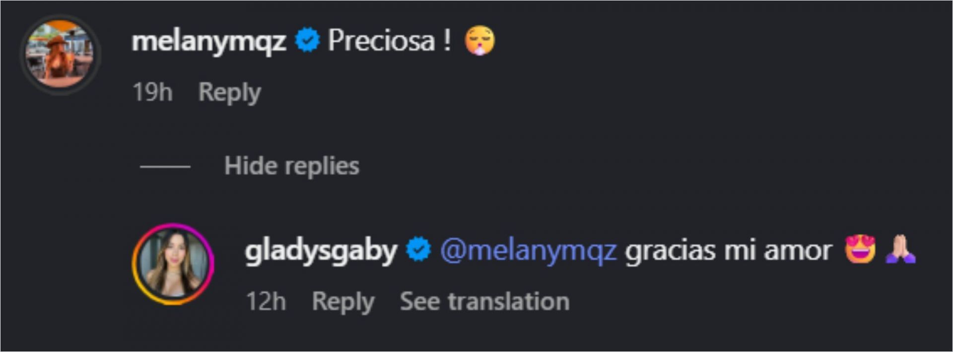 Screenshot of comments [Image Source: Instagram/gladysgaby]