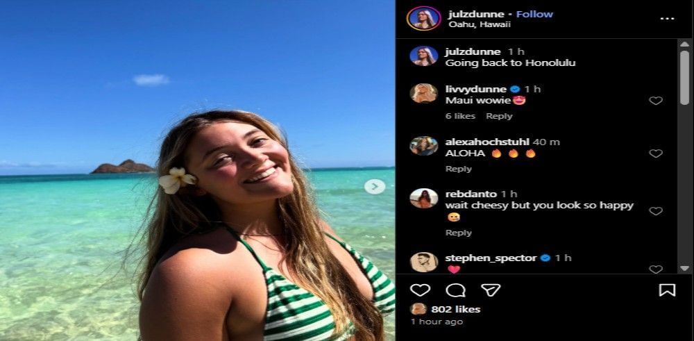 Screenshot of the Instagram post&#039;s comment section.