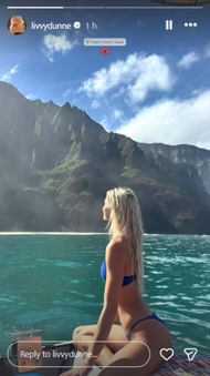 Screenshot of Dunne's Instagram story.