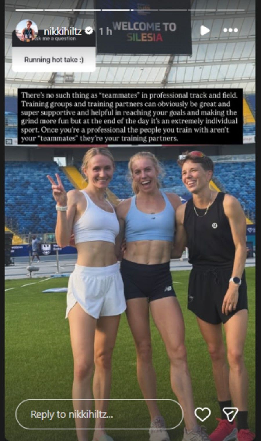 Screenshot of Nikki Hiltz&#039;s Instagram story.