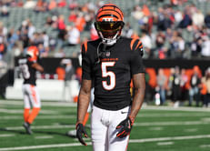 WATCH: Video of Tee Higgins lying unconscious goes viral as Bengals WR brutally hits head on ground vs. Steelers