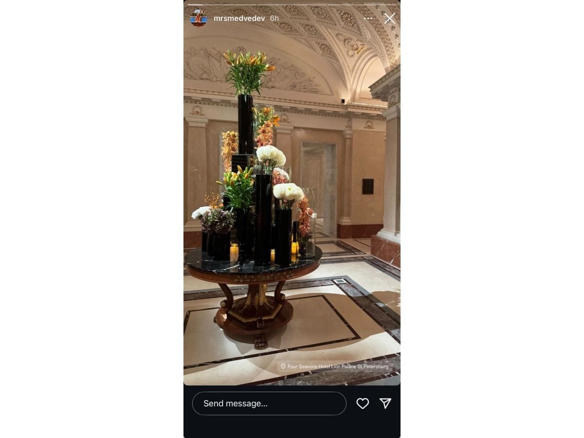 Daria's Instagram story