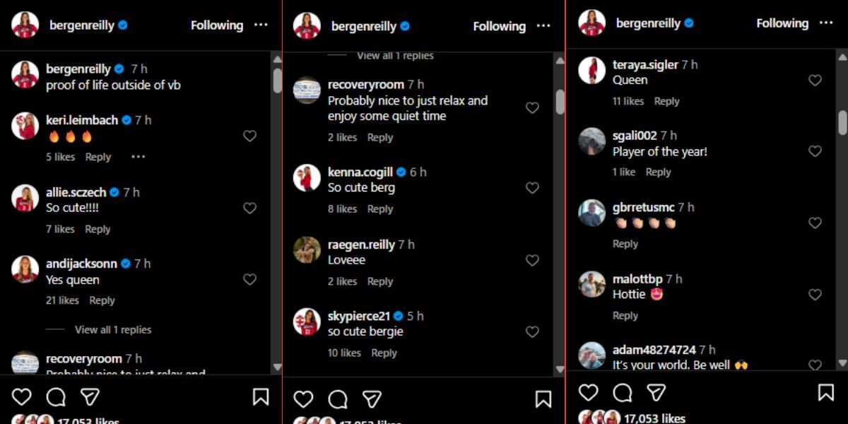 Screenshot of the Instagram post&#039;s comment section.