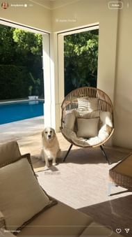 (Image source - Olivia Dunne Instagram)