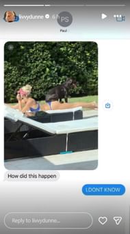 Screenshot of Dunne's Instagram story.