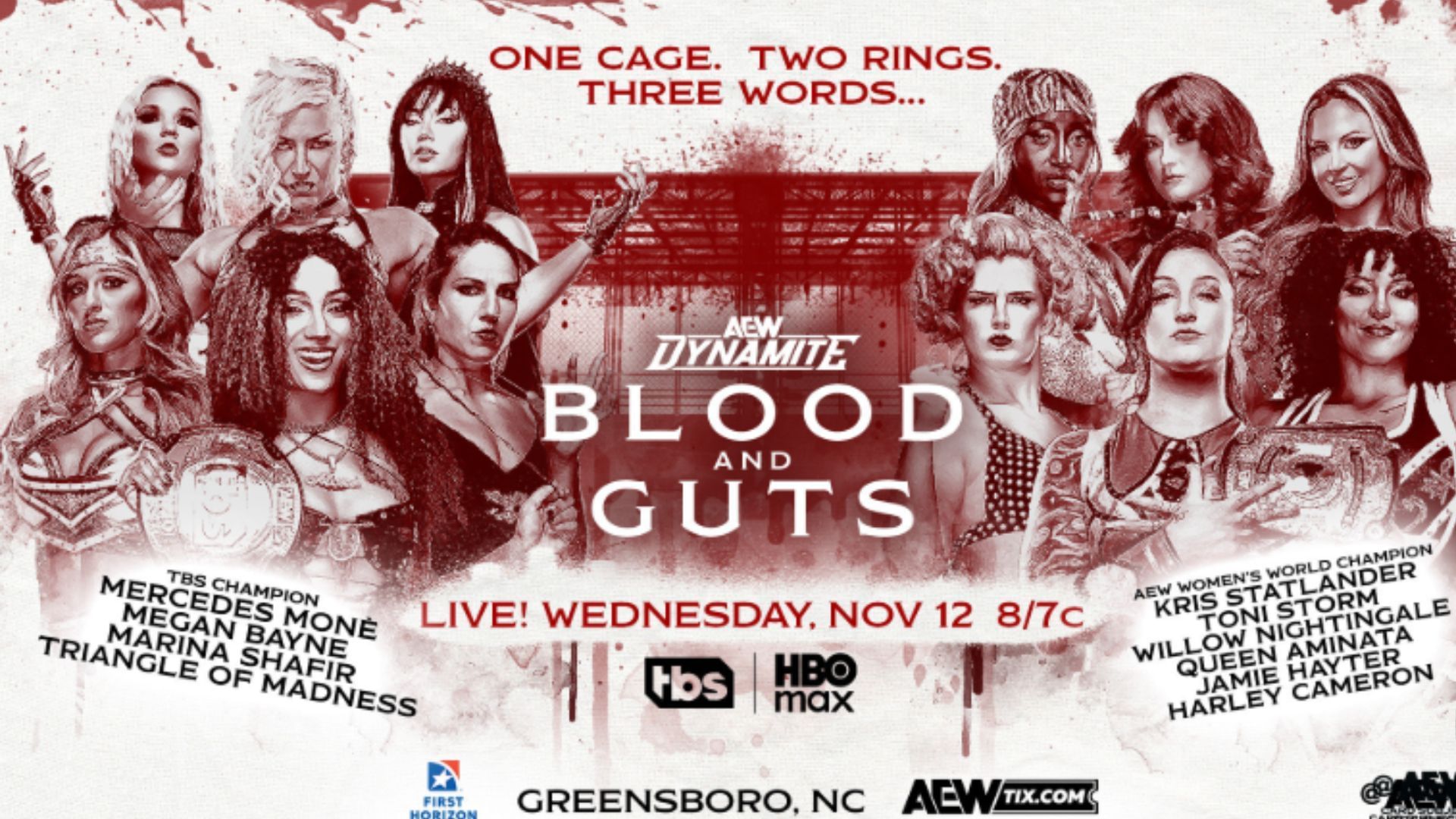 Official match graphic for the Women&#039;s Blood and Guts match [Image Credits: Tony Khan&#039;s X profile]