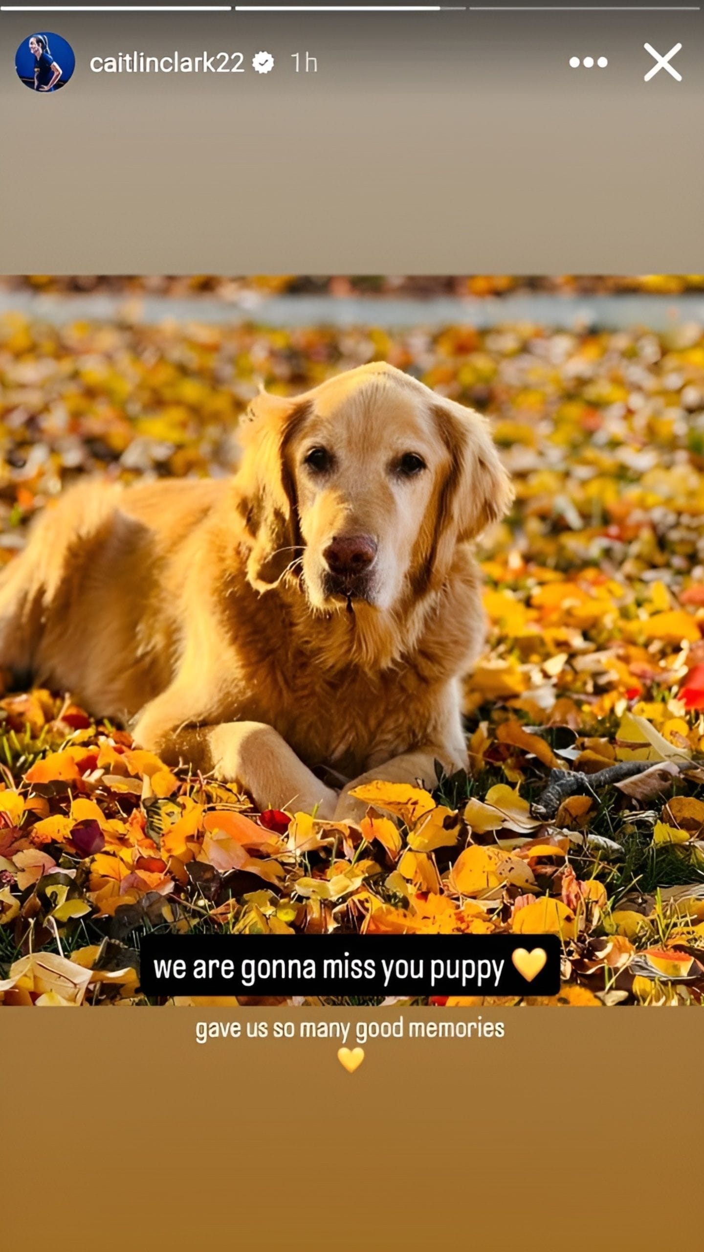 [Credit: IG/@caitlinclark22]