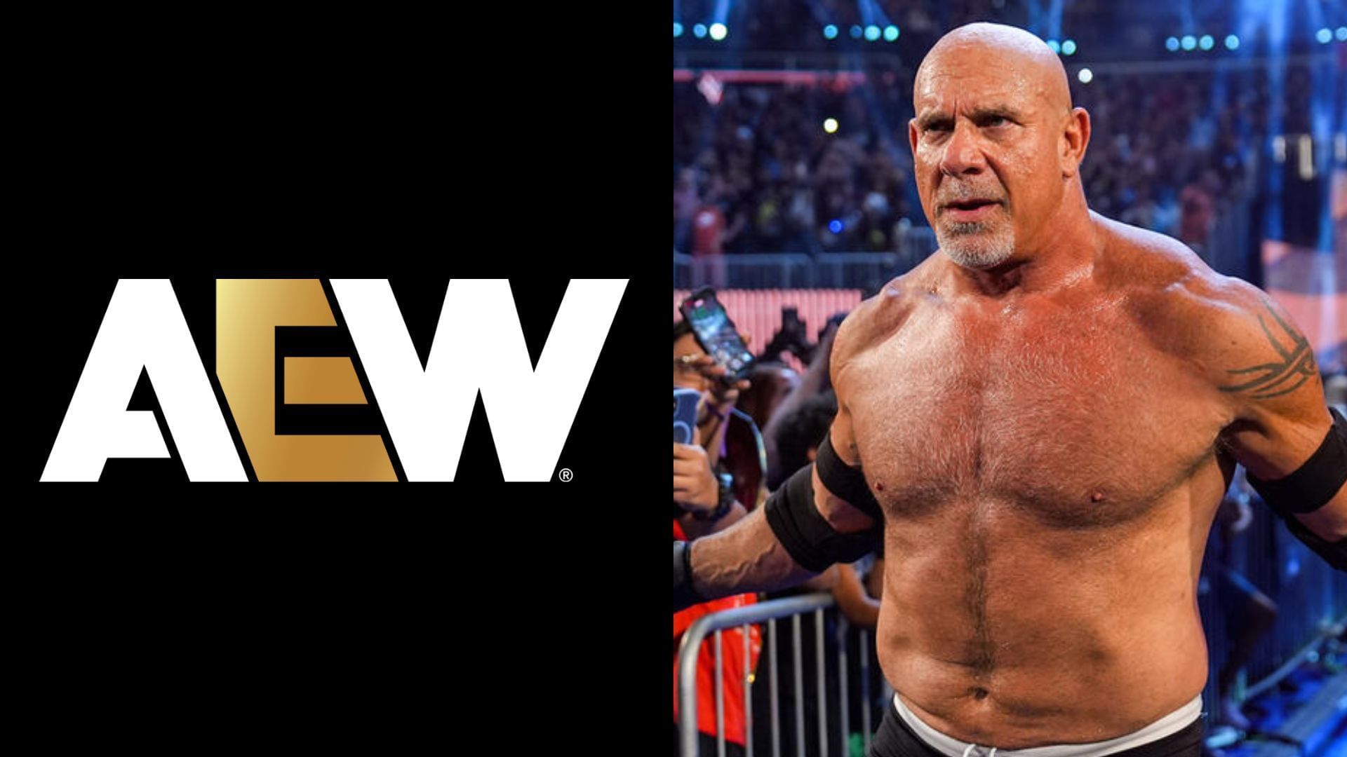 Goldberg is a WWE Hall of Famer [photo: wwe.com]
